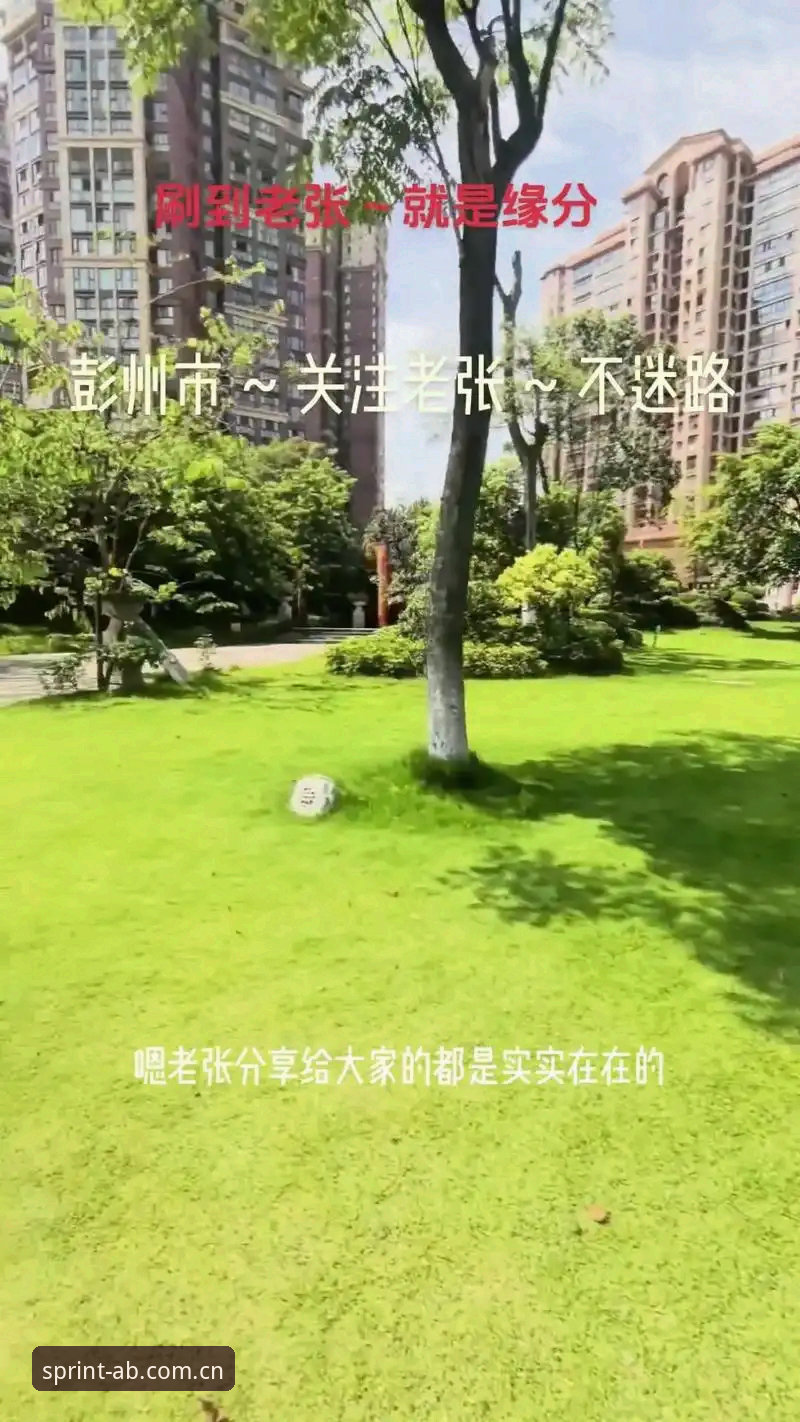 揭秘AB体育下载背后的真相：老张的真实体验与高效解决方案